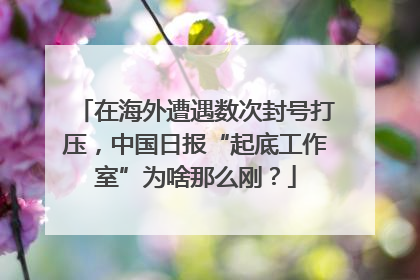 在海外遭遇数次封号打压，中国日报“起底工作室”为啥那么刚？
